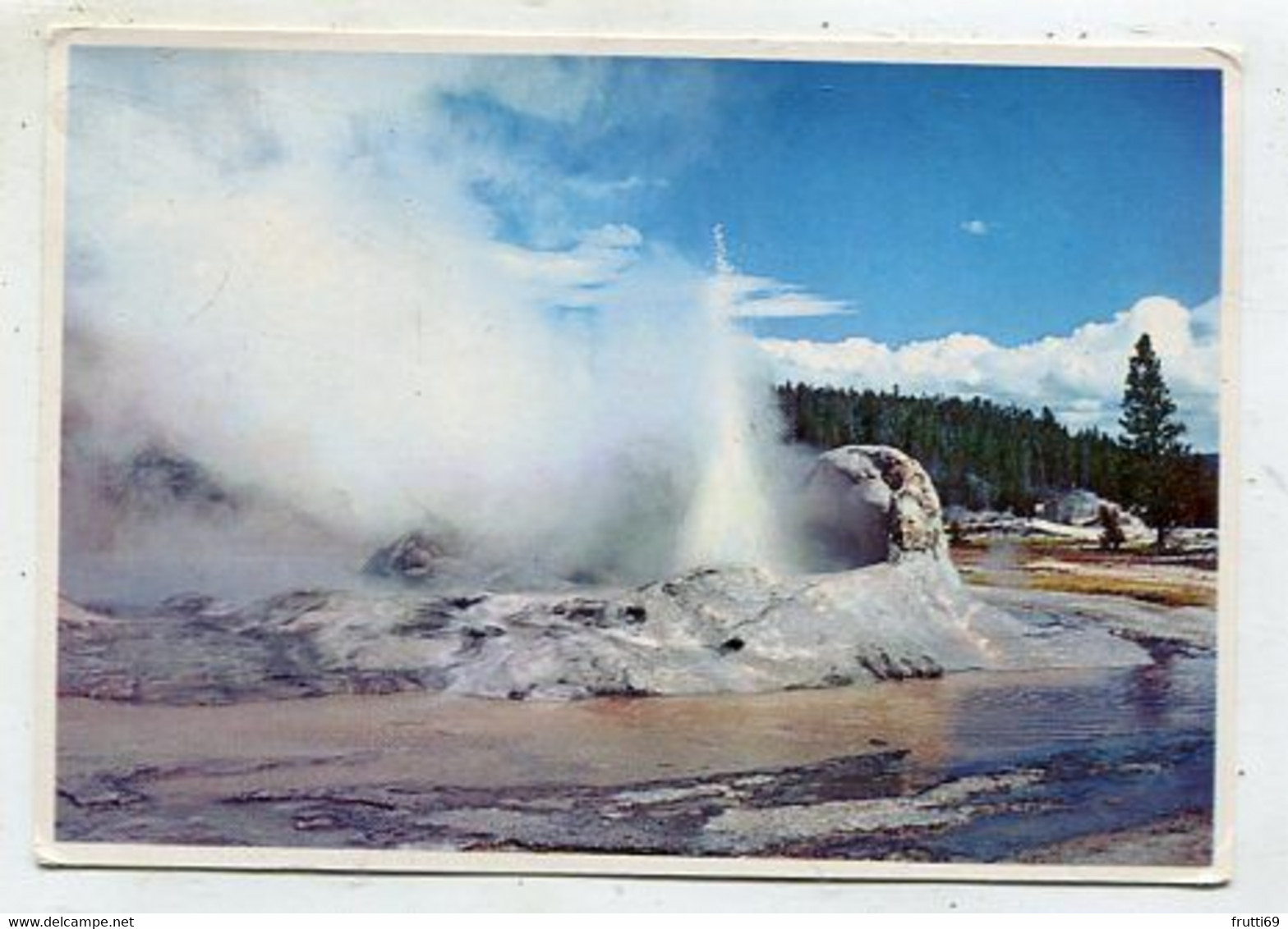 AK 055909 USA - Wyoming - Yellowstone National Park - Upper Geyser Basin - Grotto Geyser - Yellowstone