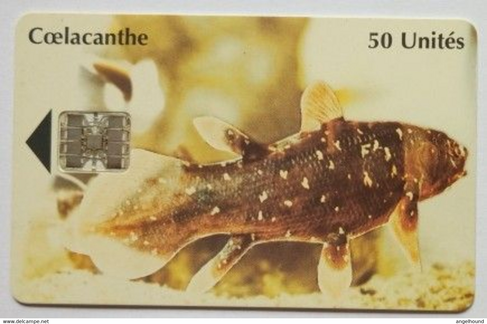 Comoros SNPT 50 Units Coelacanthe ( Fish ) - Comores