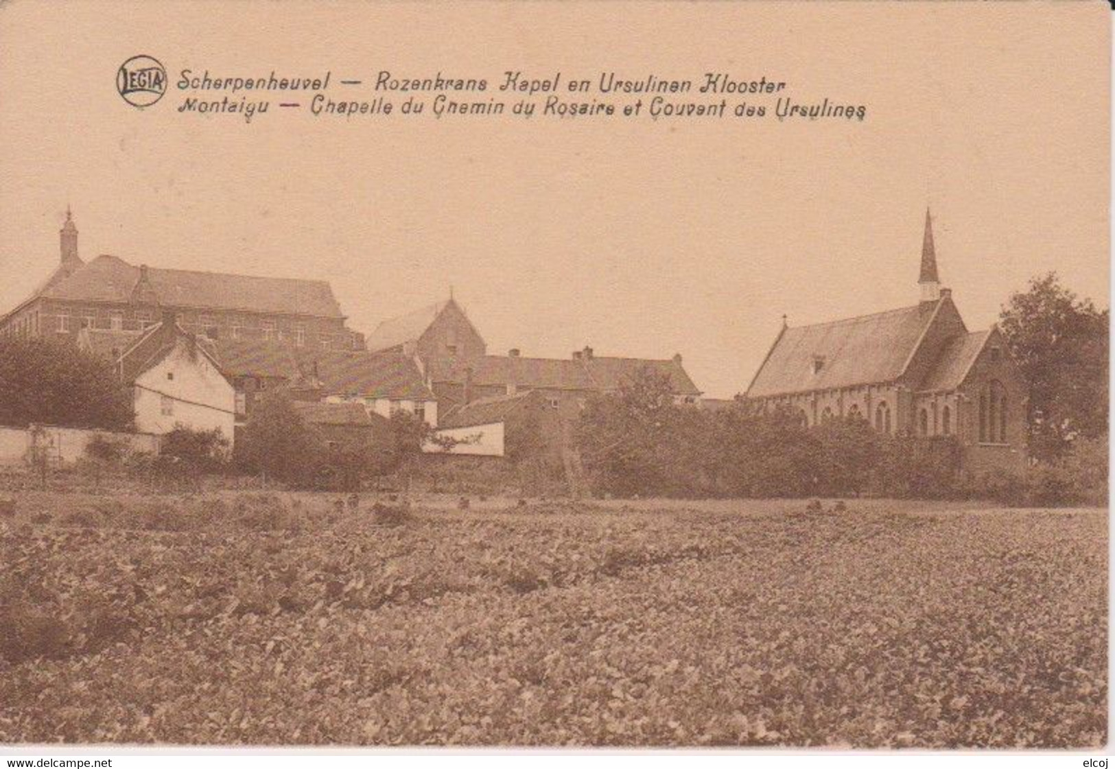 Scherpenheuvel-Montaigu - Scherpenheuvel-Zichem