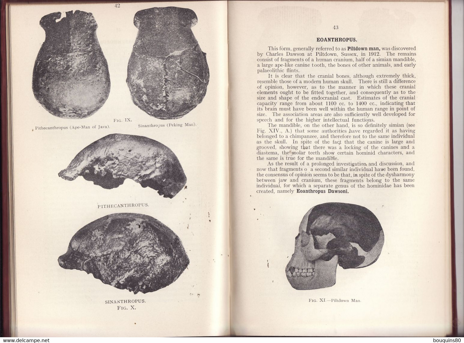 A SHORT COURSE On PHYSICAL ANTHROPOLOGY By M. R. DRENNAN 1937 - Antropolia