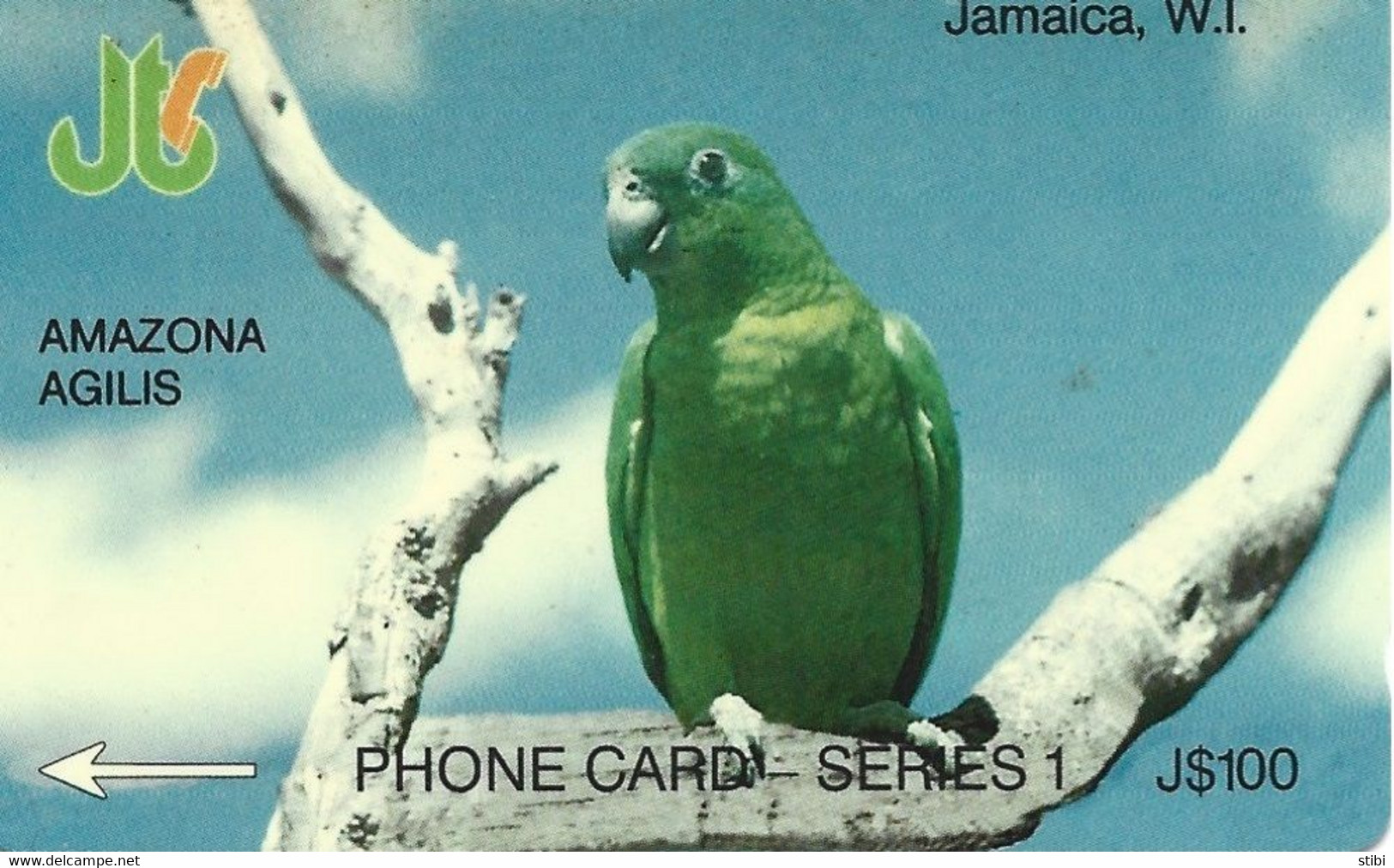 JAMAICA - AMAZONA AGILIS - 8JAMA - Giamaica