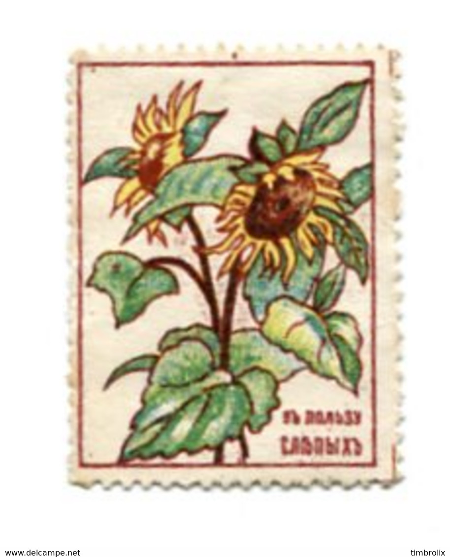 RUSSIE - JOURNEES DES FLEURS DANS LA CHARITE :  PINK FLOWER DAY - Tournesol - Vignetten (Erinnophilie)