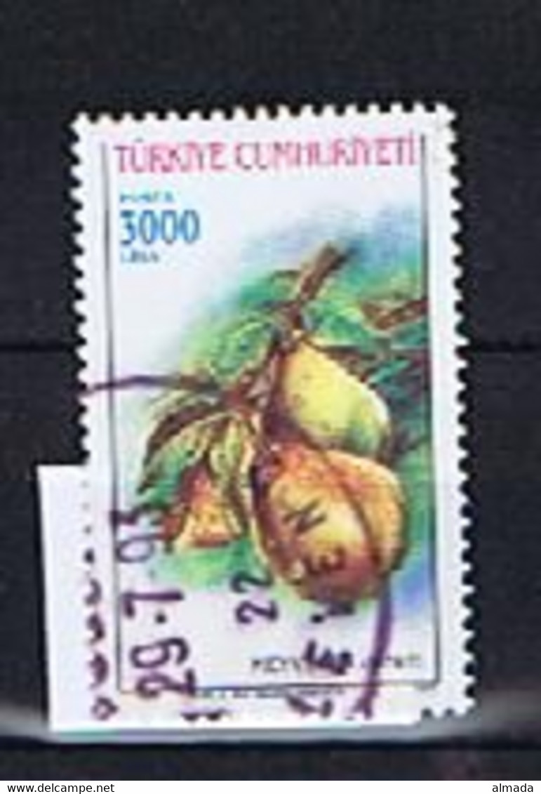 Türkei, Turkey 1993: Michel 2982 Used, Gestempelt - Usati