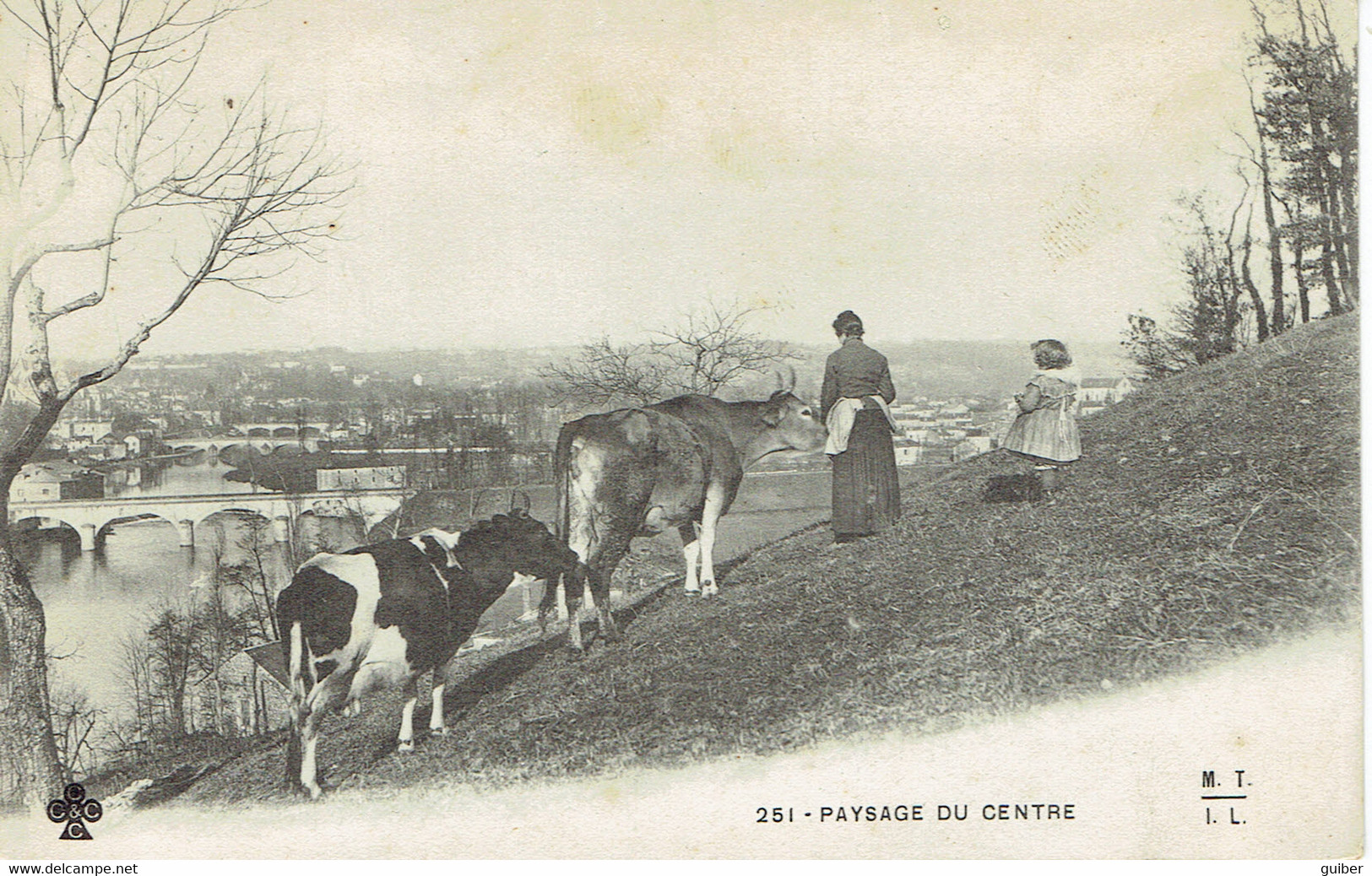 Paysage Du Centre Vaches Perigueux Les 3 Ponts - Viehzucht