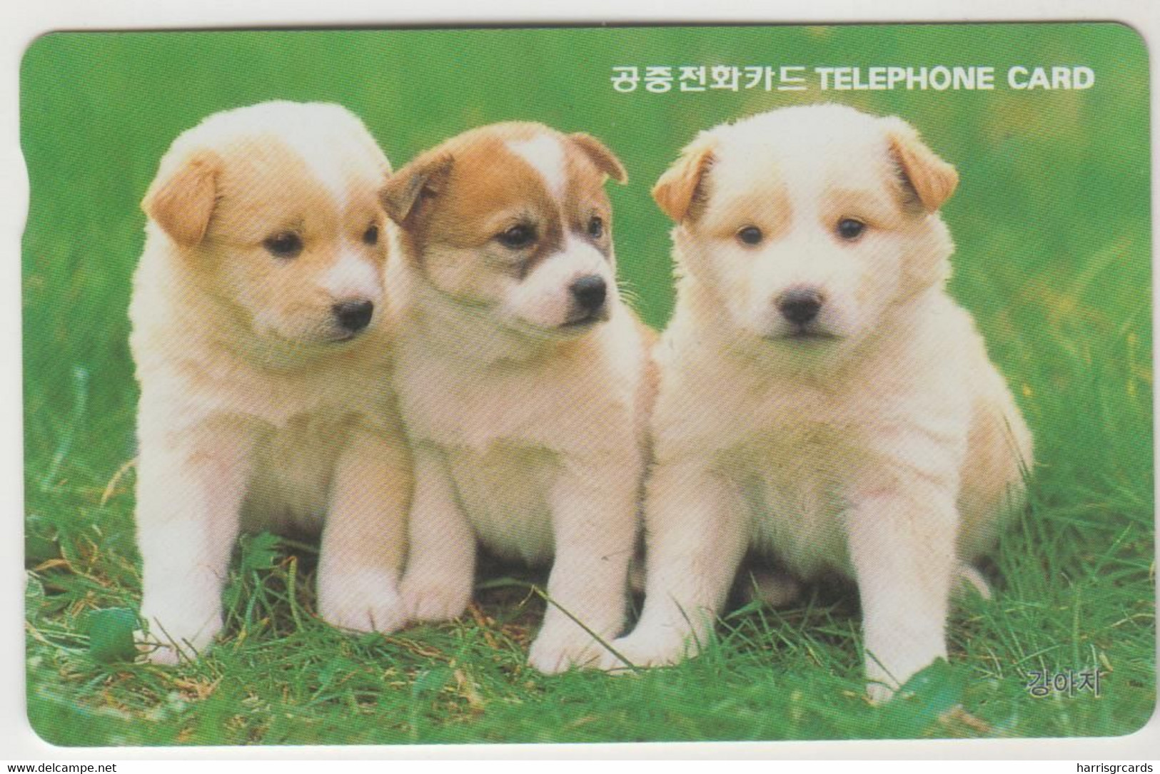 KOREA SOUTH - Puppies (Letter K) ,10.000 ₩ South Korean Won ,07/98 Used - Corée Du Sud