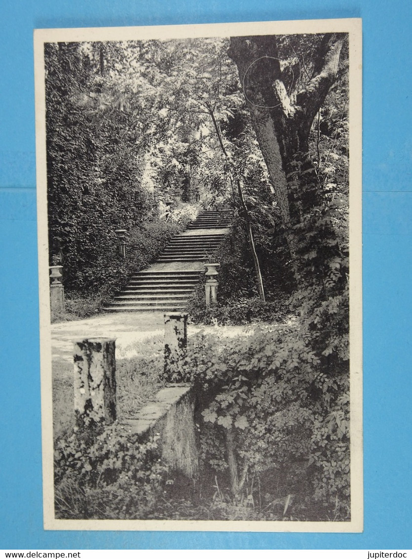 Florennes Le Château Escalier Des Charmilles - Florennes