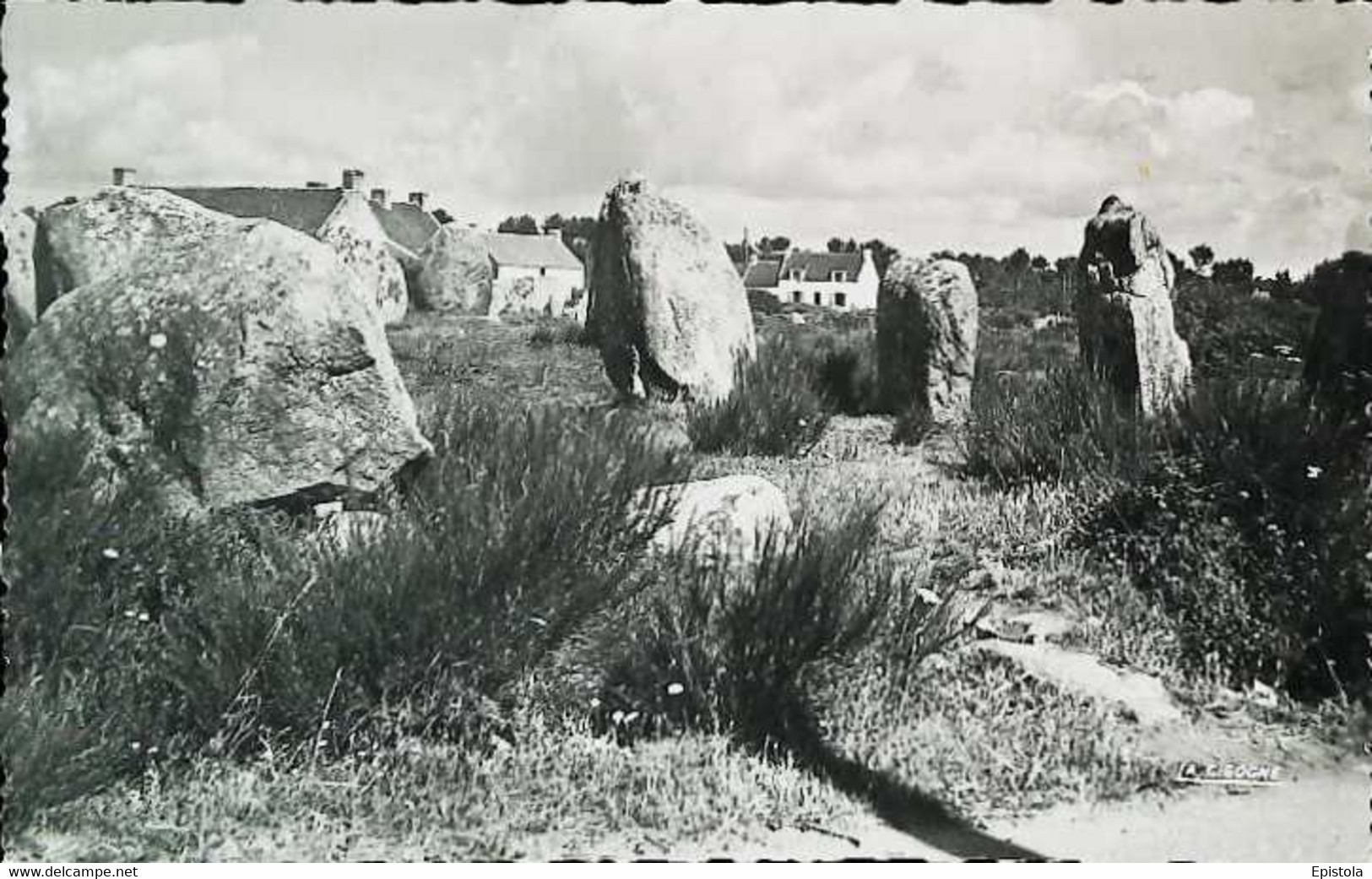 ►CPSM  Carnac Alignements Mégalithiques De Kermario 1950 - Dolmen & Menhirs