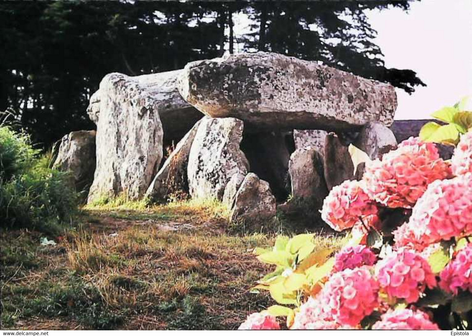 ►CPSM  Belz L'allée Couverte De Kerhuen - Dolmen & Menhirs