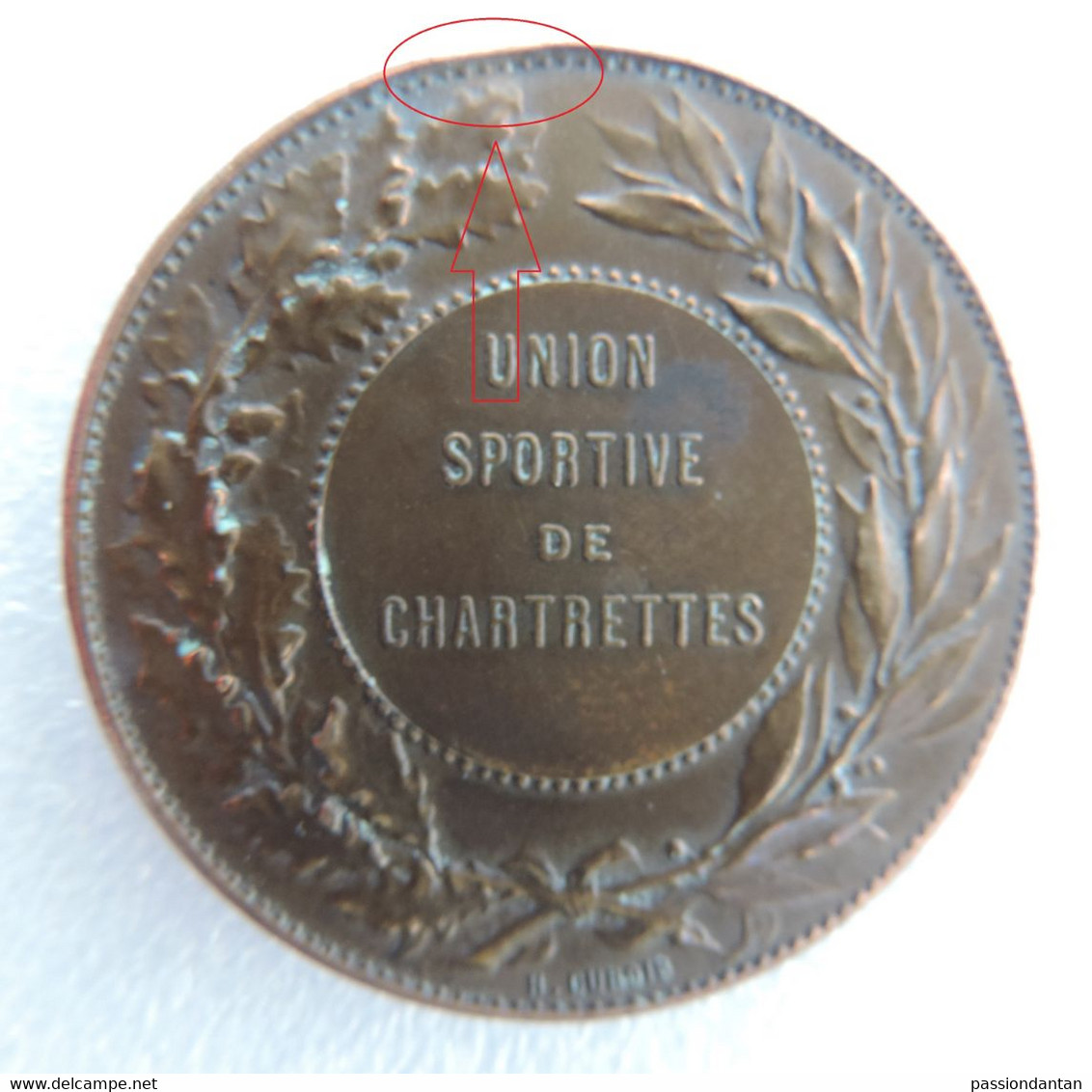 Médaille En Bronze Créée Par Le Médailleur Henri Dubois - Union Sportive De Chartrettes En Seine Et Marne - Professionnels / De Société
