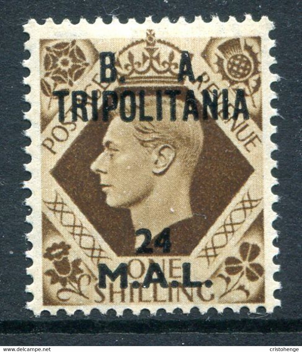 British Occ. Italian Colonies - Tripolitania - 1950 B.A. - 24l On 1/- Bistre-brown HM (SG T23) - Tripolitaine