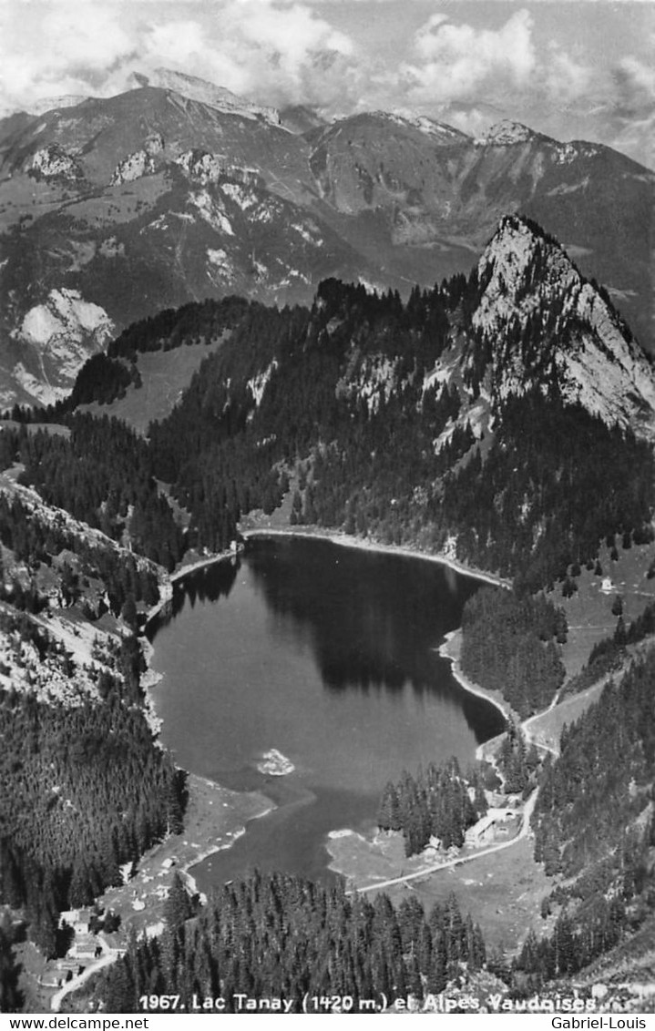 Lac Tanay Et Alpes Vaudoises Vouvry - Vouvry