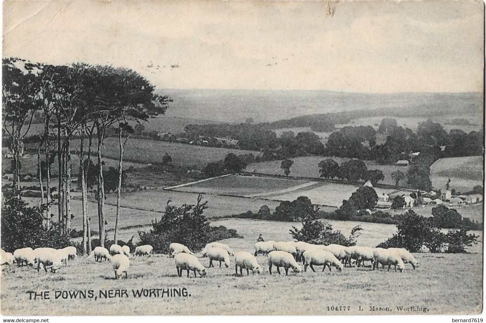 Royaume  Uni    -    Worthing  - The  Downs Near's Garden - Worthing