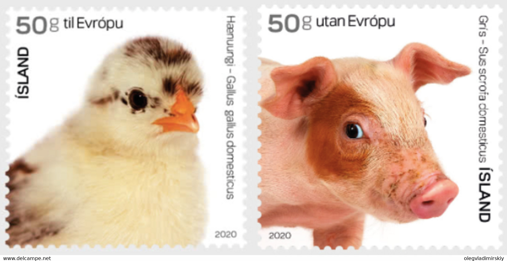 Iceland 2020 The Young Of Icelandic Domestic Animals Set Of 2 Stamps Mint - Gebraucht