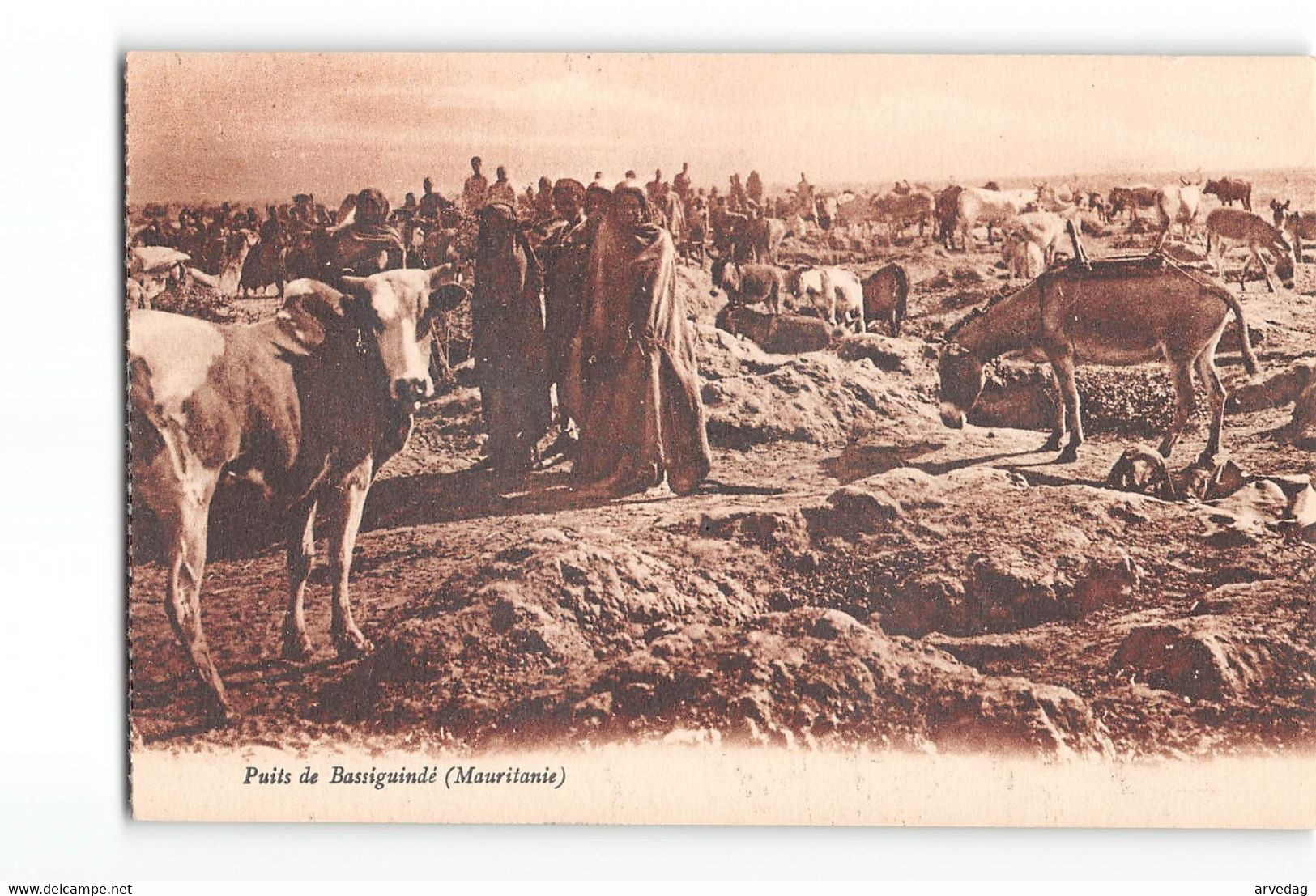 X054 PUITS DE BASSIGUINDE MAURITAINE - Mauritanie