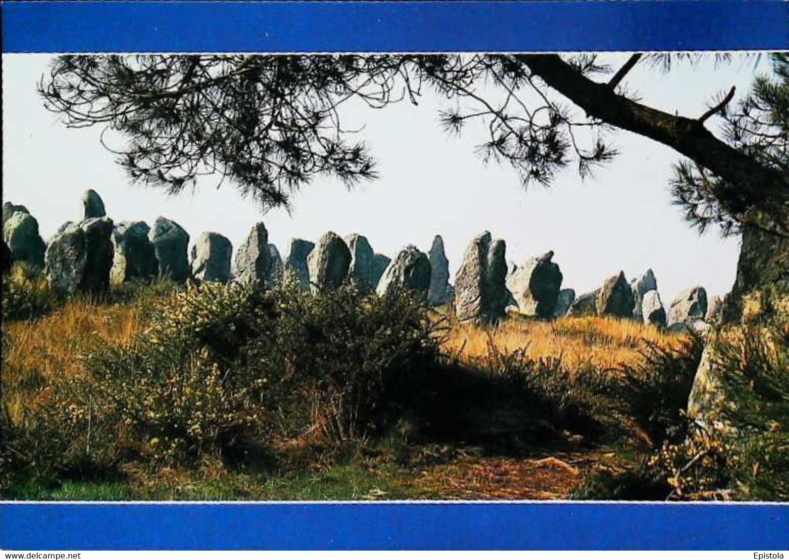 ►CPSM    Carnac   Menhir - Dolmen & Menhirs