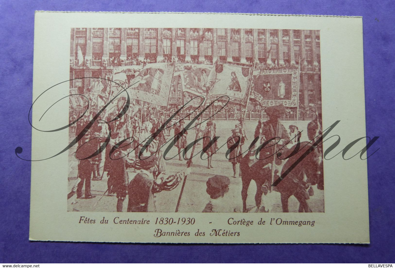 Fêtes De Centenaire. 1830-1930 _lot X 10 Cpa - Inaugurations