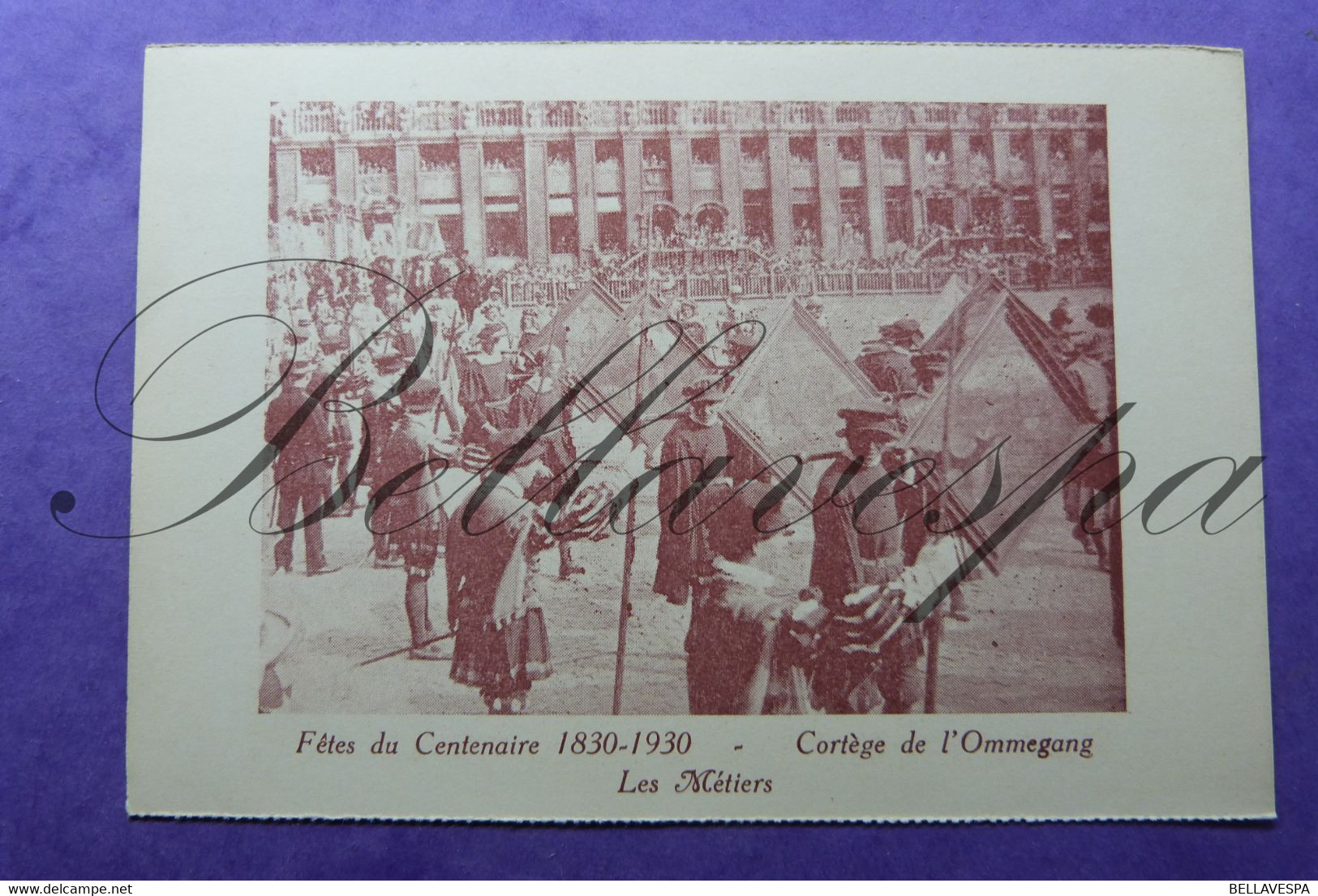 Fêtes De Centenaire. 1830-1930 _lot X 10 Cpa - Inaugurations