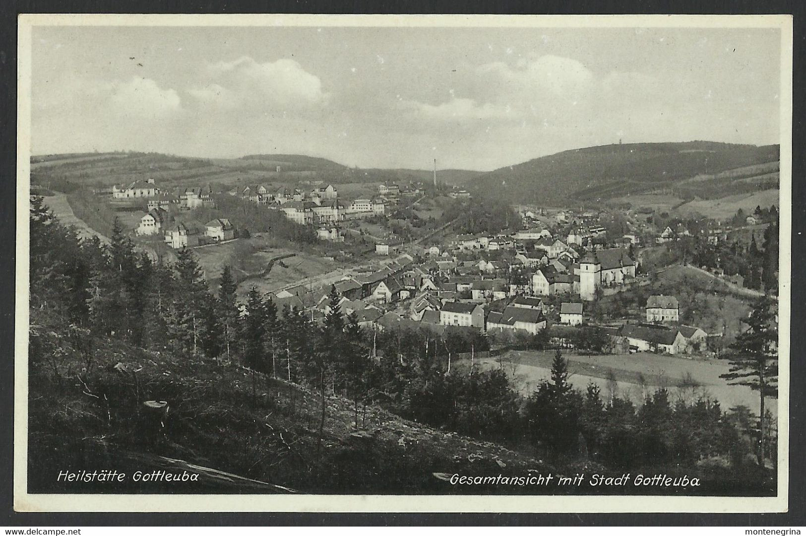 HEILSTATTE GOTTLEUBA - BPanorama - 1932 Old Postcard (see Sales Conditions) 06436 - Cham