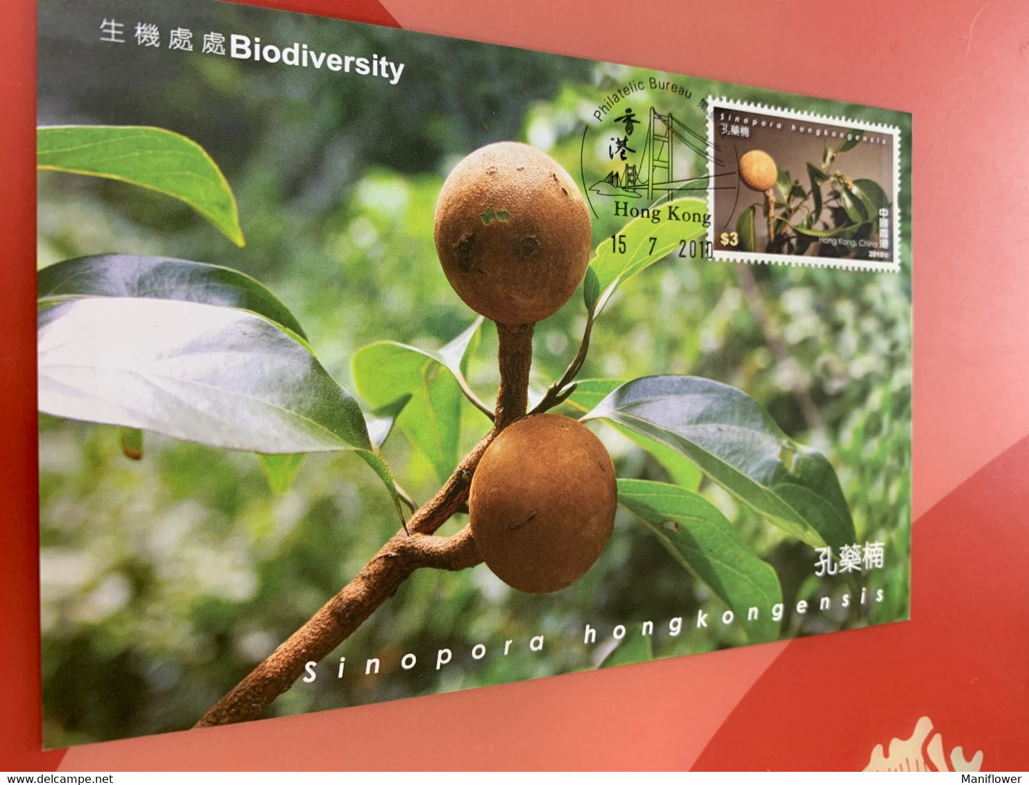 Hong Kong Stamp M.card Medical Fruit Biodiversity - Maximum Cards