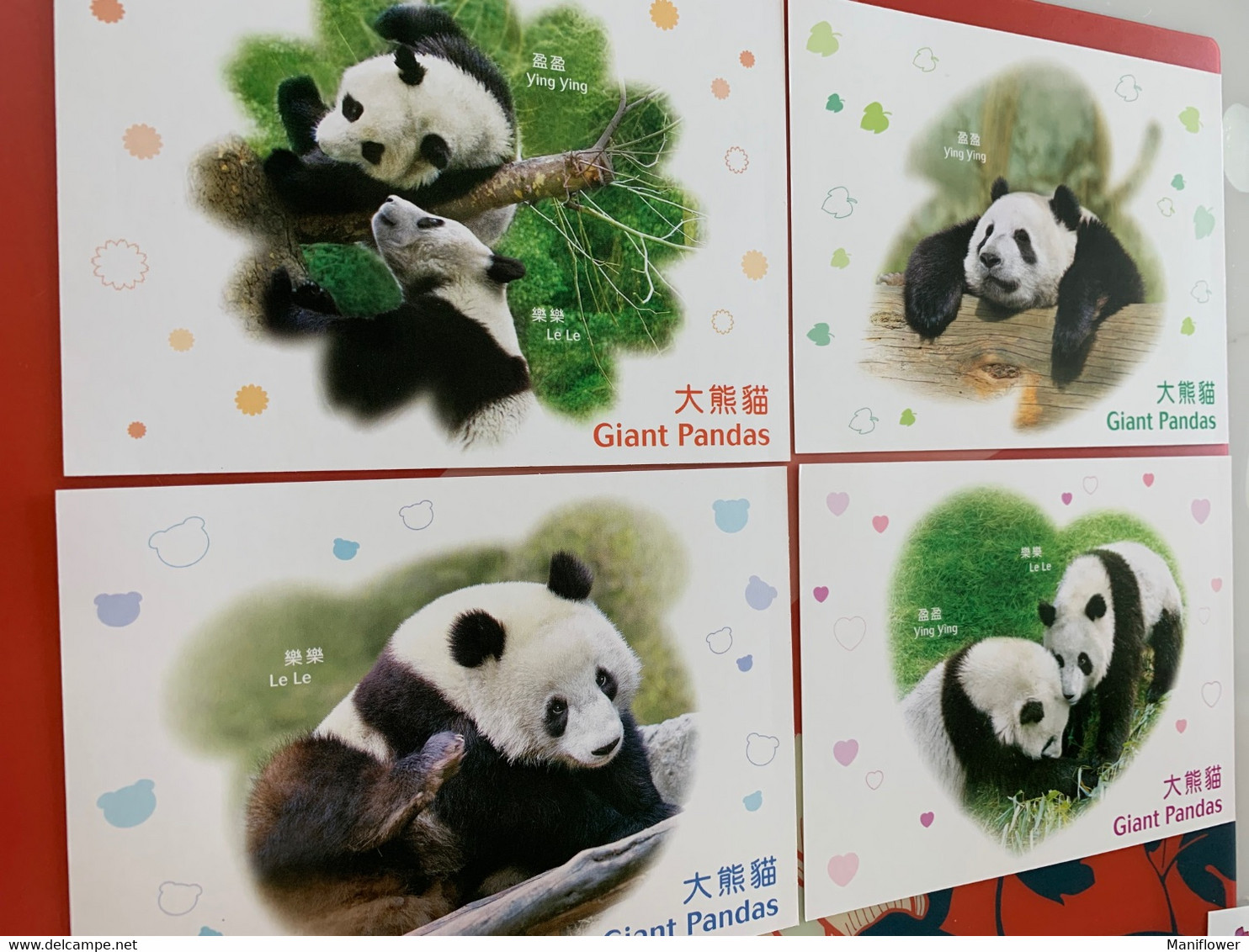 Hong Kong Stamp Cards Pandas X 4 Pieces - Maximumkarten