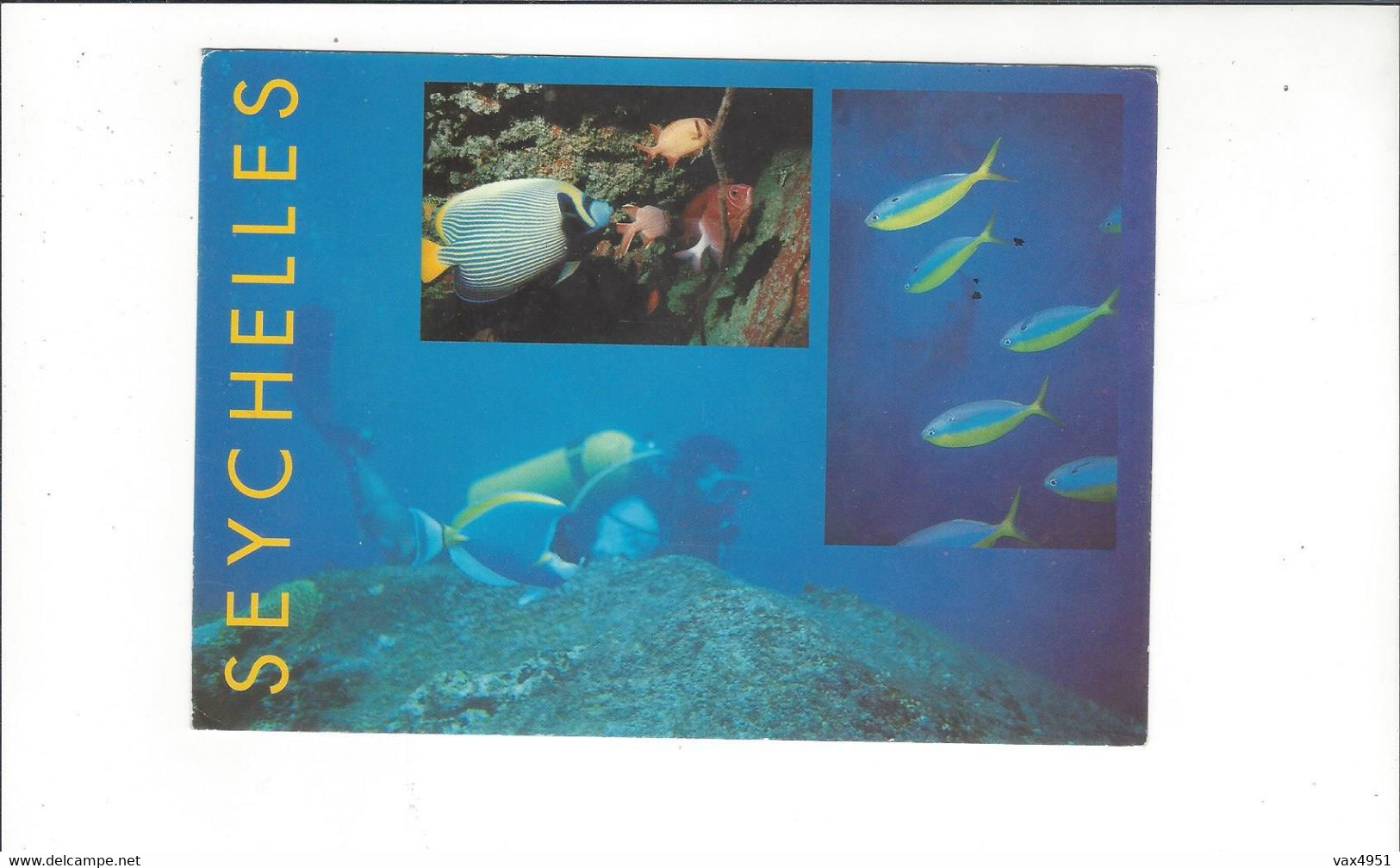 SEYCHELLES  POISSONS MULTIVUES   ***    RARE    A  SAISIR **** - Seychelles