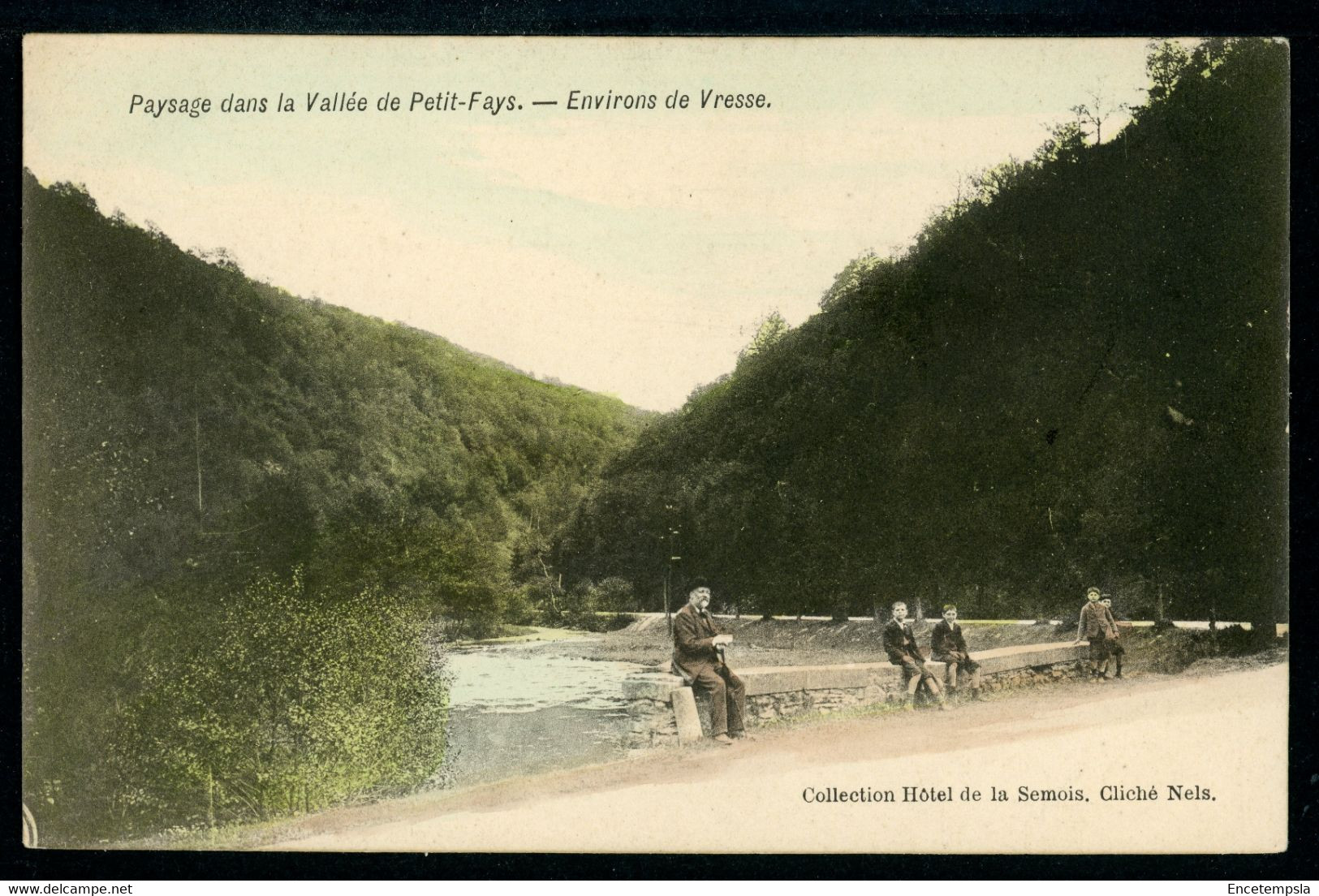 CPA - Carte Postale - Belgique - Paysage Dans La Vallée De Petit Fays - Environs De Vresse  (CP20406OK) - Bievre