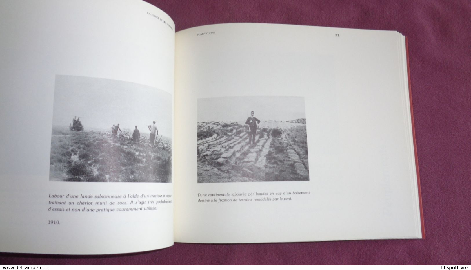 LA FORÊT E LES HOMMES Arrêt sur Images 1900 1930 Régionalisme Métiers Bûcherons Débardeurs Scierie Outils Bois Machine