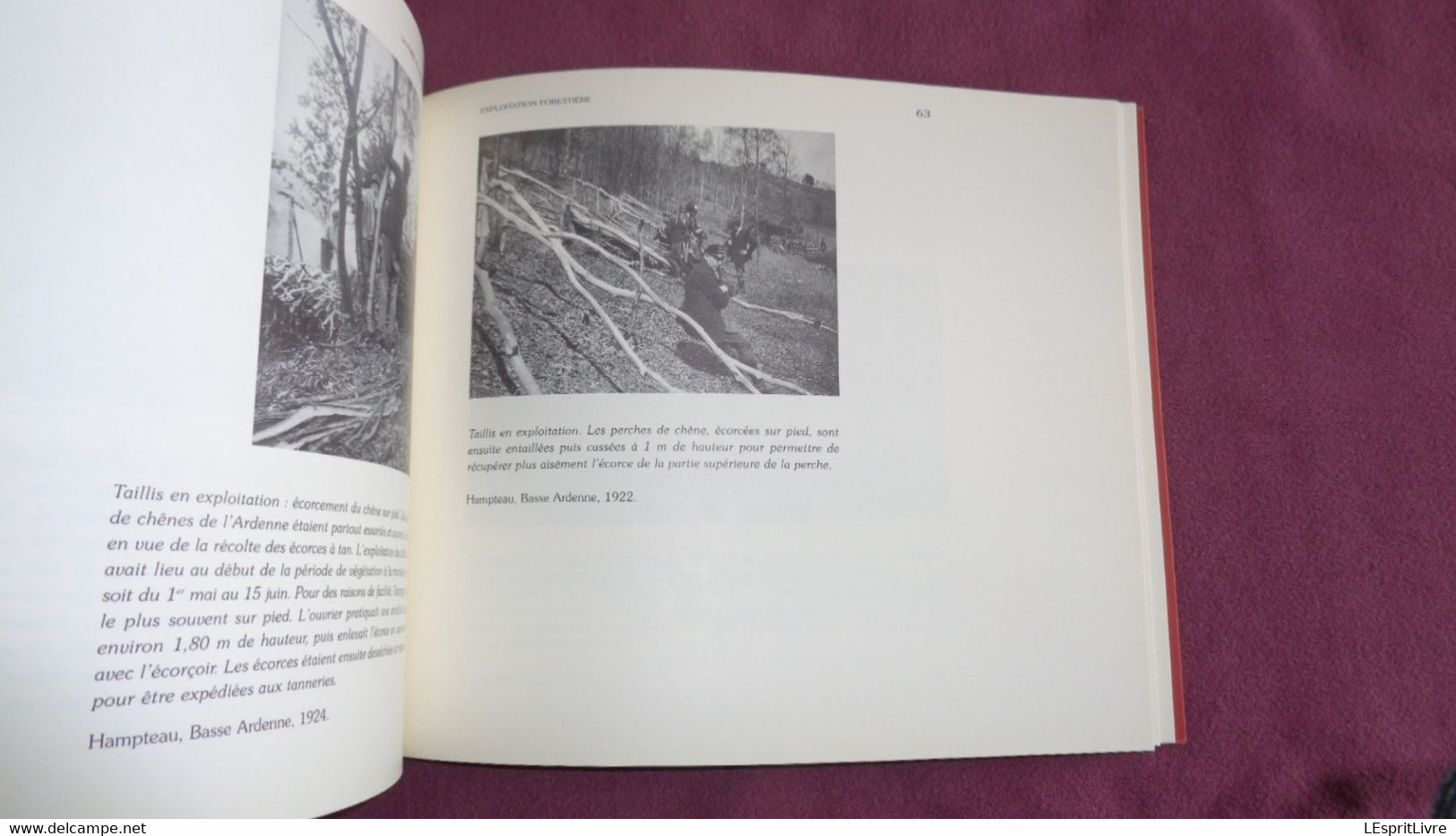 LA FORÊT E LES HOMMES Arrêt sur Images 1900 1930 Régionalisme Métiers Bûcherons Débardeurs Scierie Outils Bois Machine