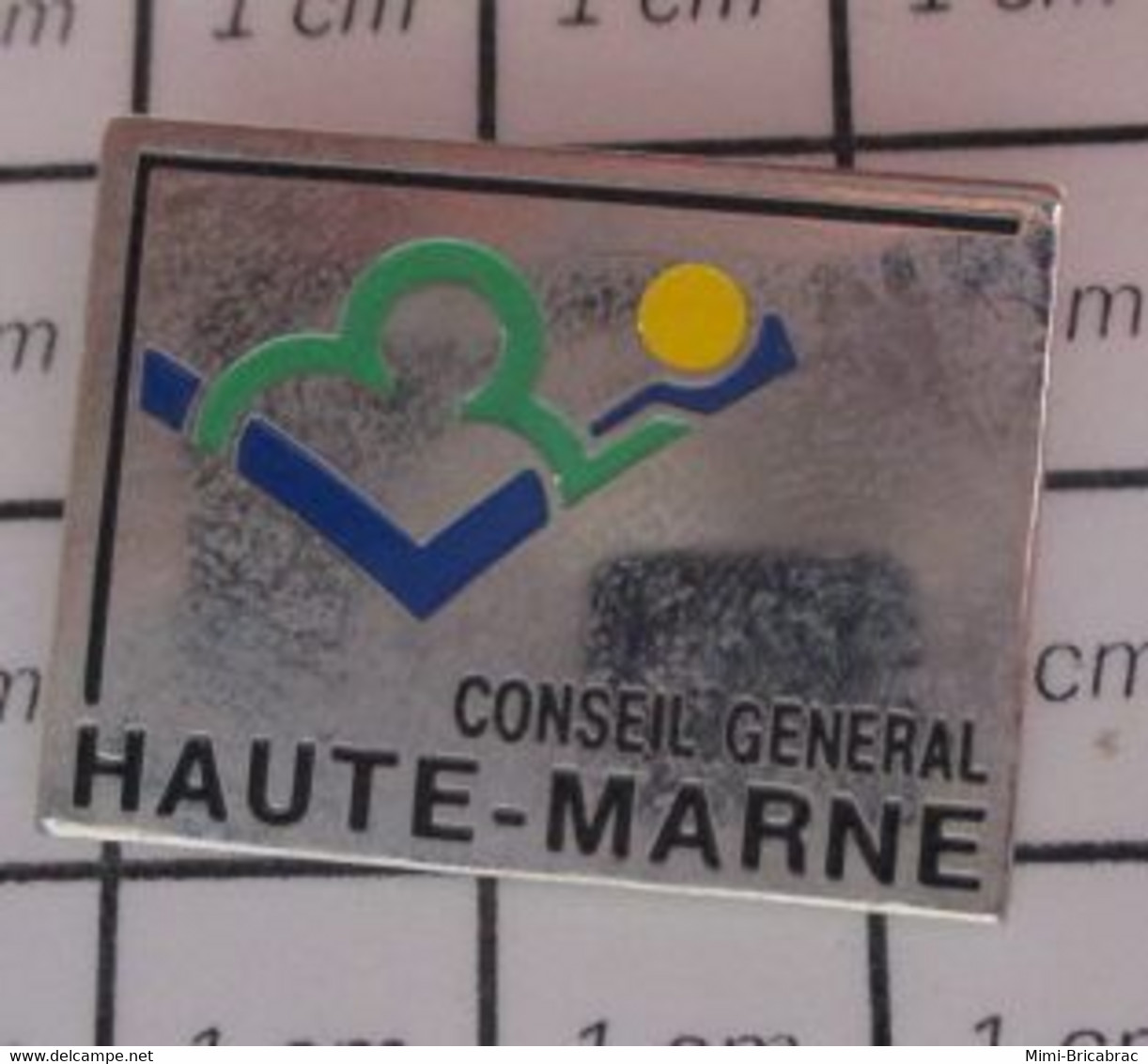 3619 Pin's Pins / Beau Et Rare / THEME : ADMINISTRATIONS / CONSEIL GENERAL DE LA HAUTE MARNE - Administrations