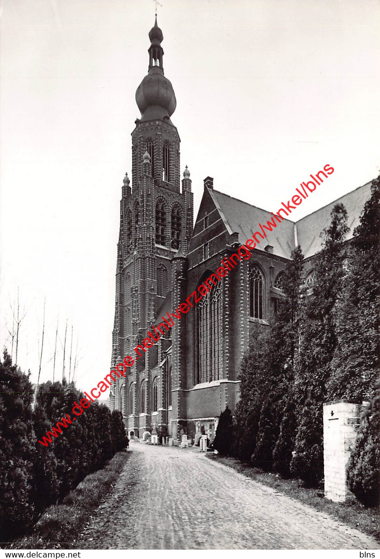 St. Katharinakerk - Hoogstraten - Hoogstraten
