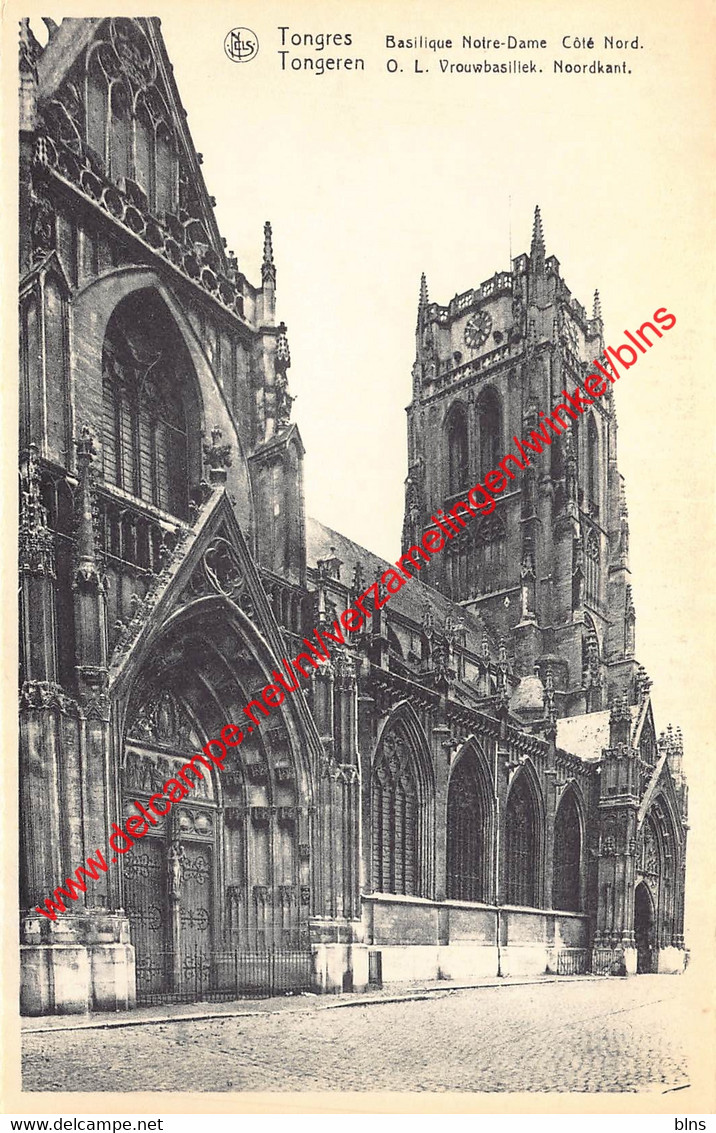 O.L.V. Basiliek - Tongeren - Tongeren