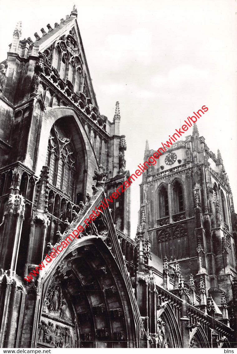 O.L.V. Basiliek - Tongeren - Tongeren