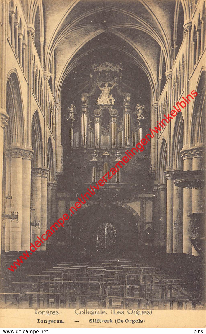 O.L.V Stiftkerk - Tongeren - Tongeren