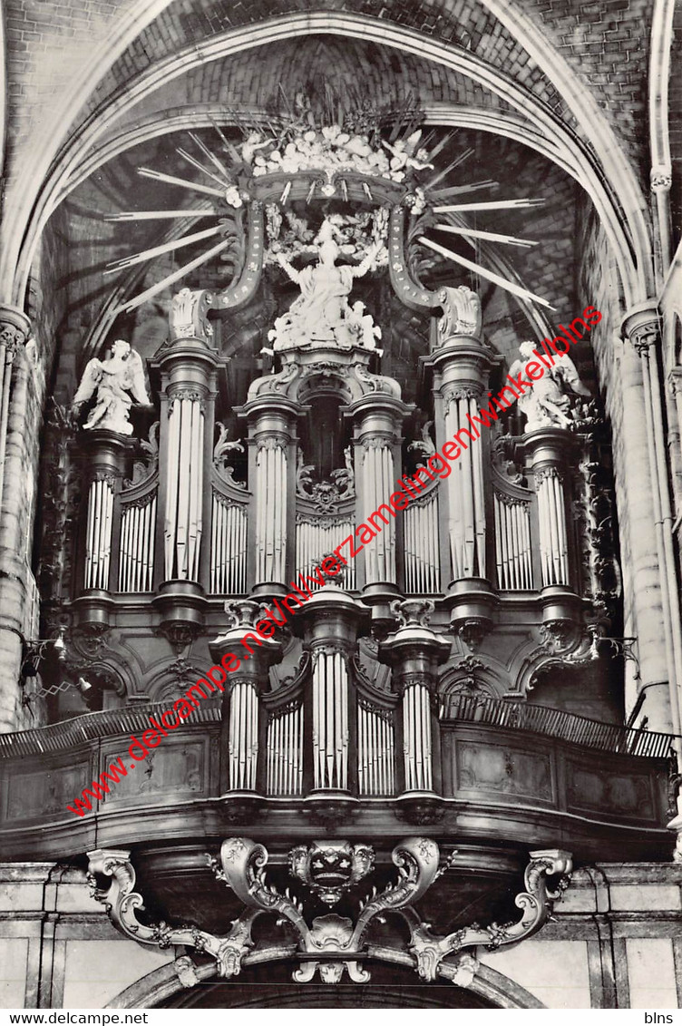 Basiliek - Orgel J.B. Le Picard - Tongeren - Tongeren