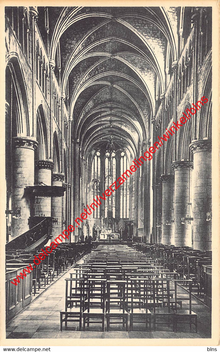 Middenbeuk Der Basiliek - Tongeren - Tongeren