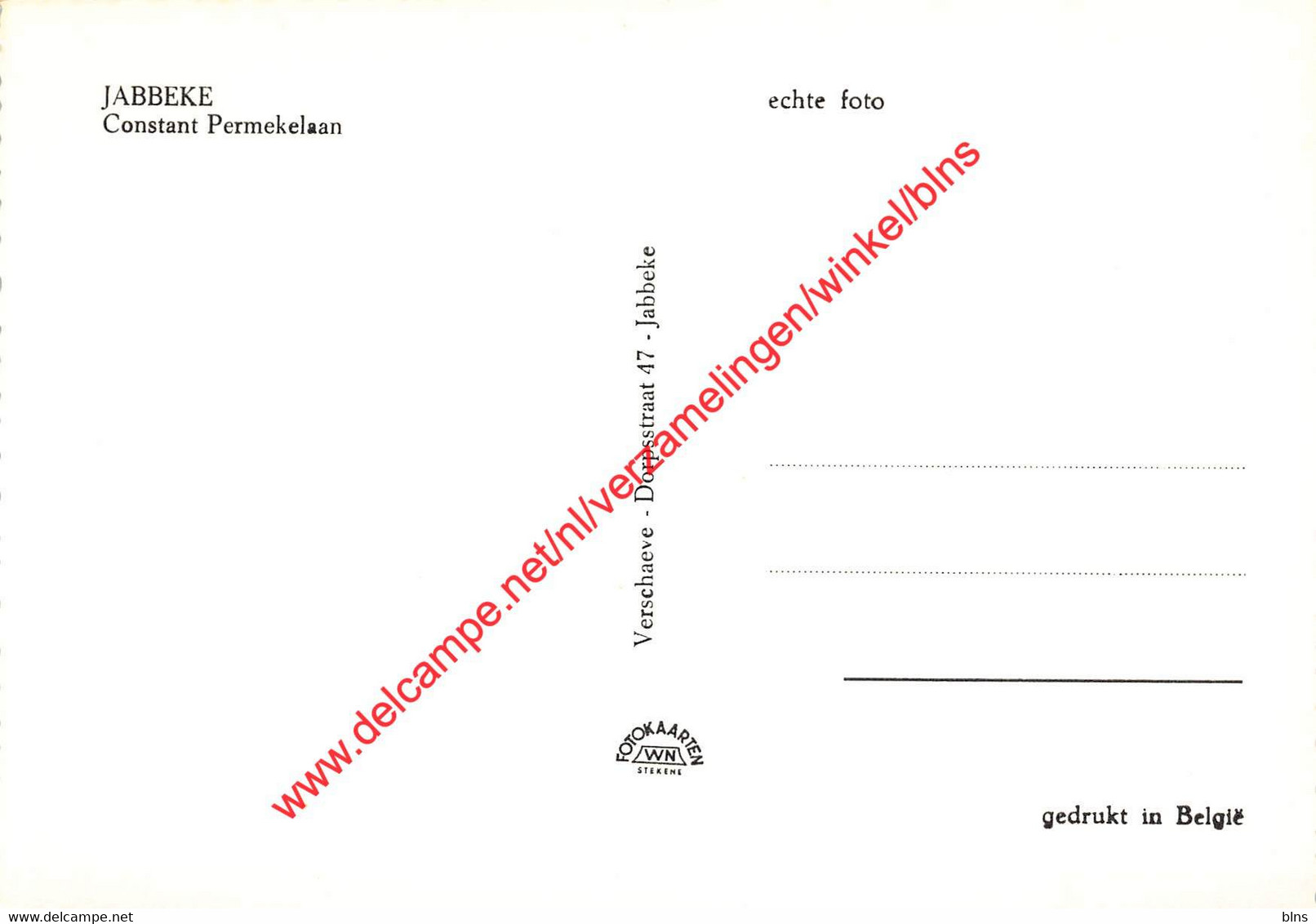 Constant Permekelaan - Jabbeke - Jabbeke