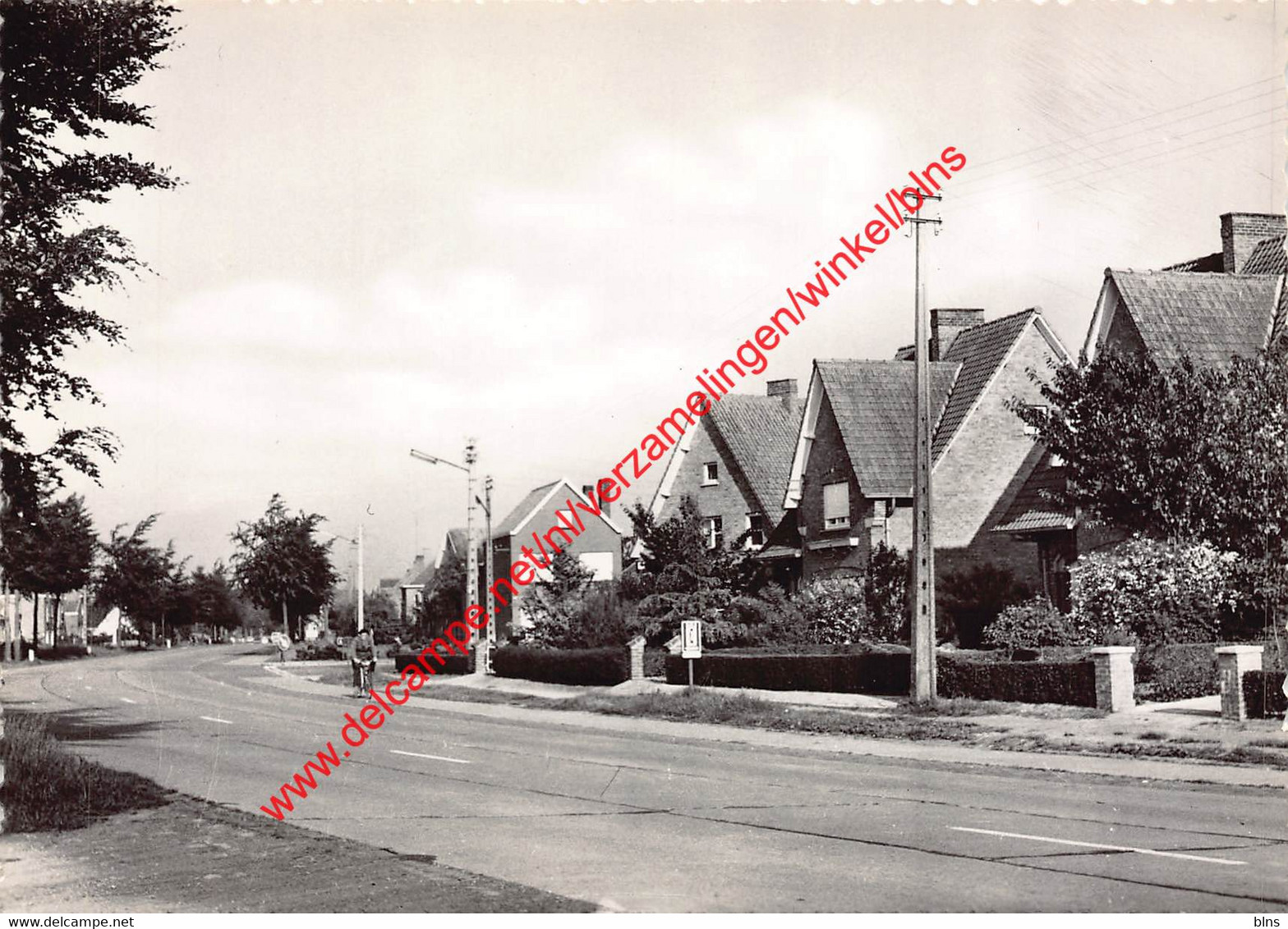 Nieuwe Baan - Jabbeke - Jabbeke