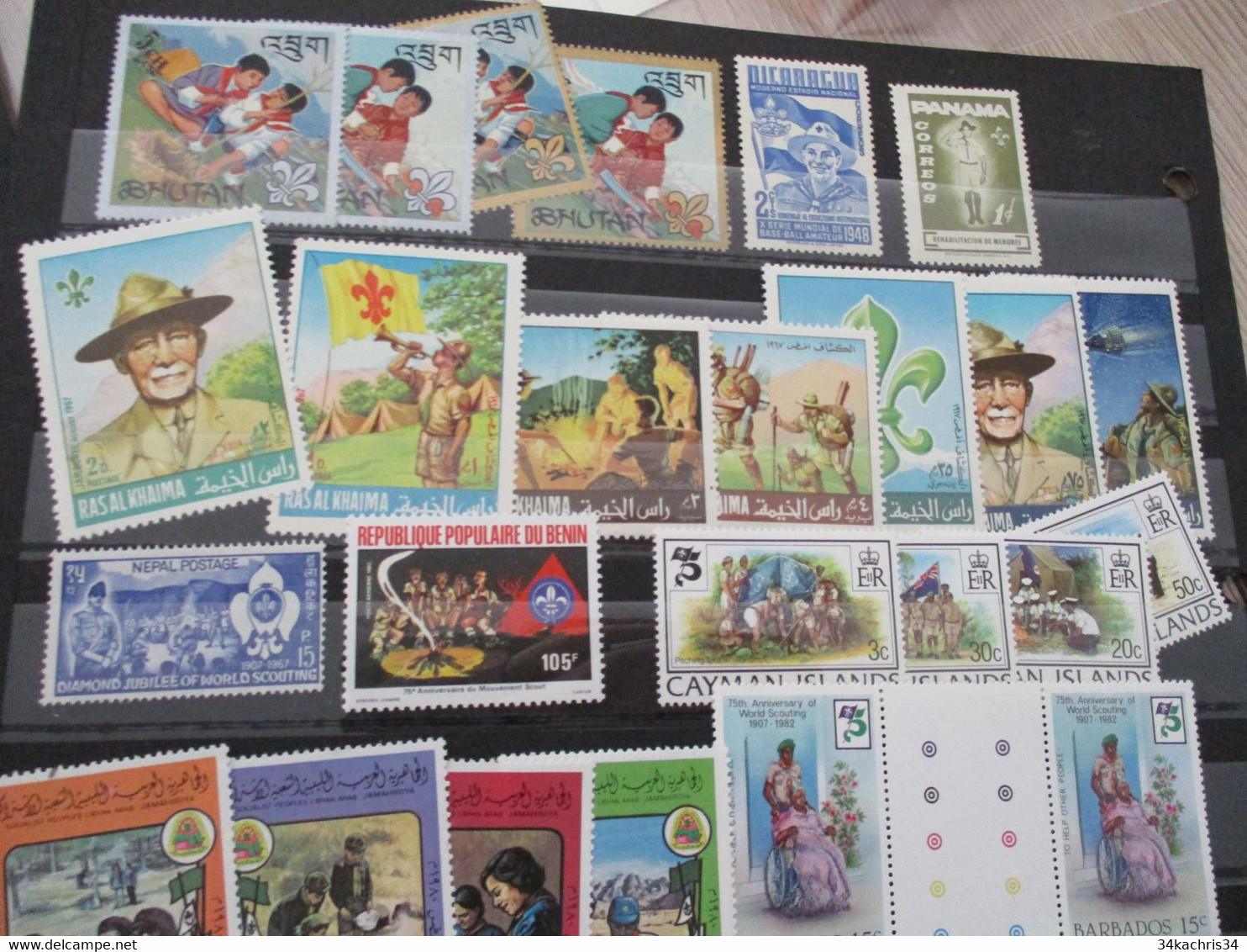 lot + de 230 Scoutisme majorité TP sans charnière Mint