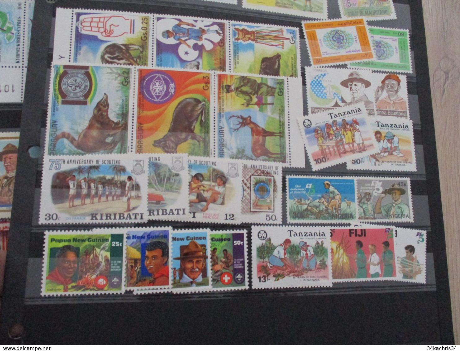 lot + de 230 Scoutisme majorité TP sans charnière Mint