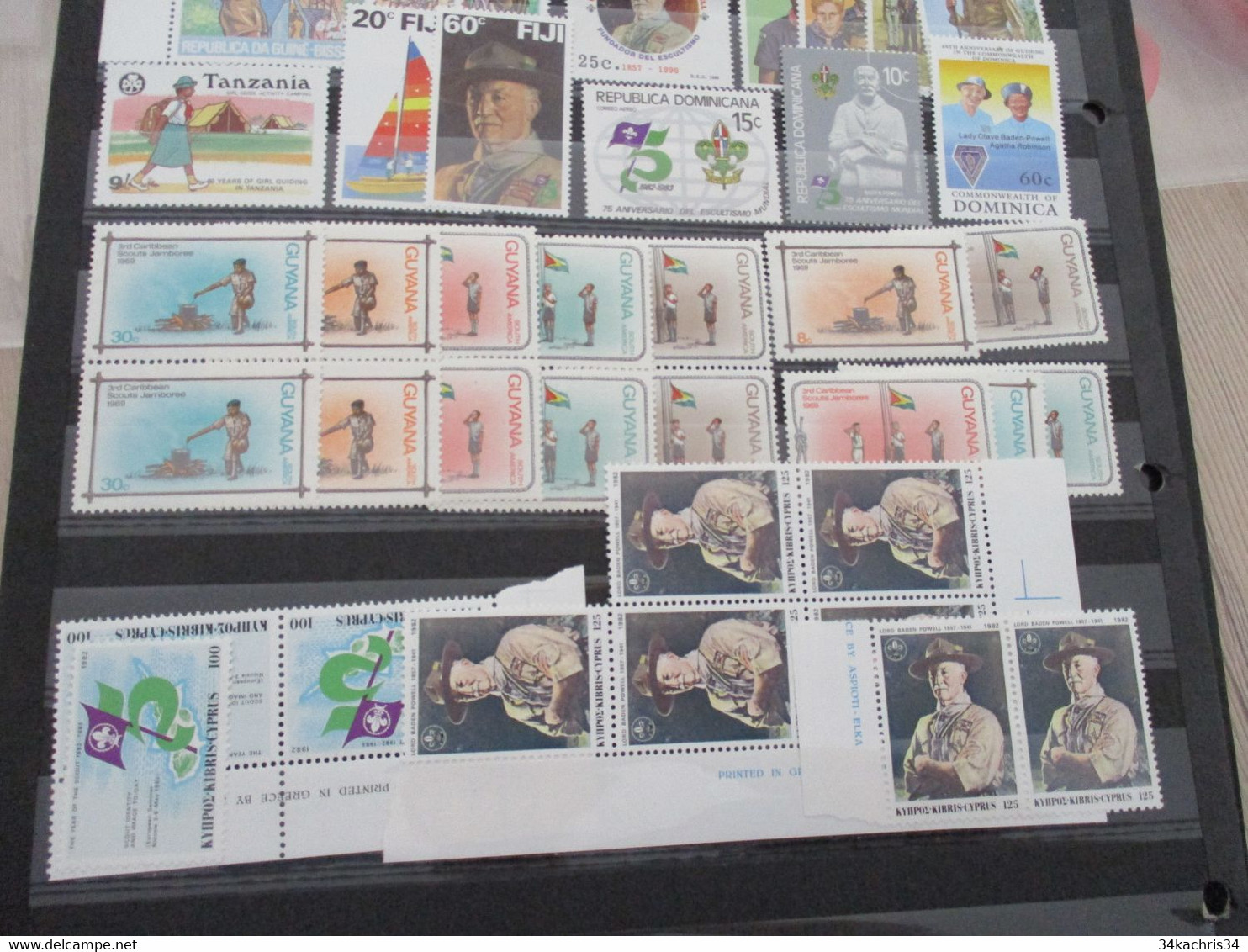 lot + de 230 Scoutisme majorité TP sans charnière Mint