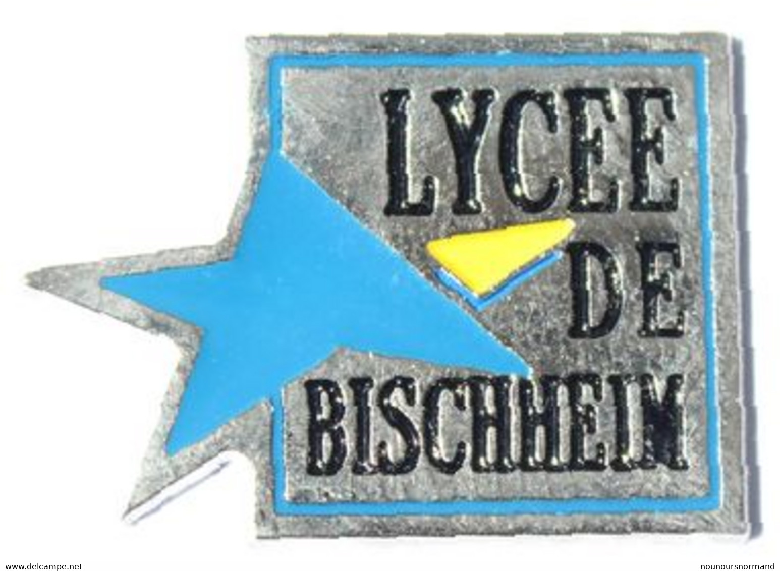 Pin's Bischheim (67) - LYCEE DE BISCHHEIM - Logo Du Lycèe - Etoile Bleue Avec Une Branche Jaune - L086 - Administrations