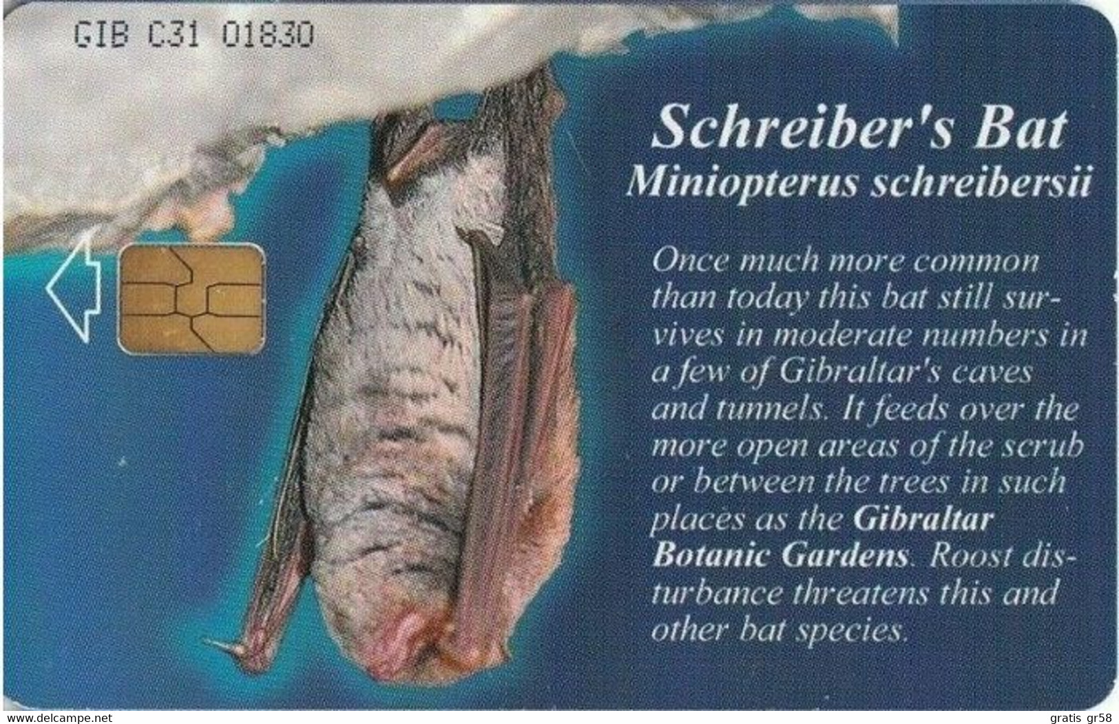 Gibraltar - GIB-C-31, Schreiber's Bat, Wildlife Of Gibraltar, 2001, 3000ex, Used` - Gibraltar