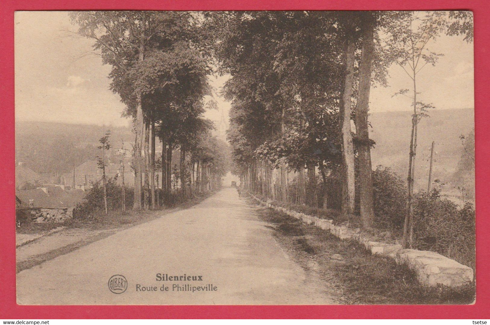 Silenrieux - Route De Philippeville ( Voir Verso ) - Cerfontaine