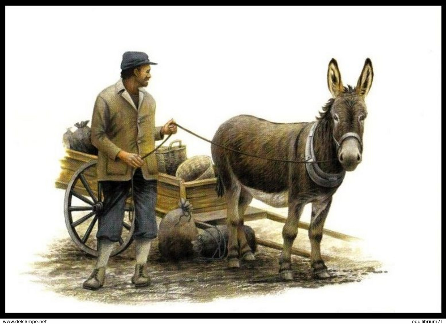 Cartes Maximum / Maximumkaart Blanco ** - Les Animaux Au Travail / Dieren Aan Het Werk / Tiere Bei Der Arbeit - Buzin - Donkeys