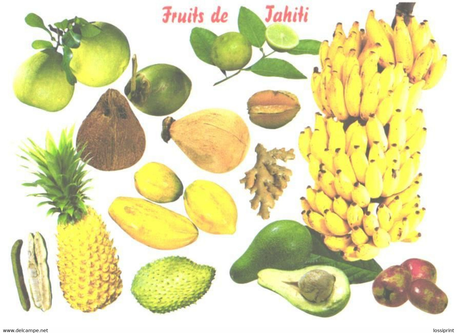 Tahiti Fruits - Recettes (cuisine)