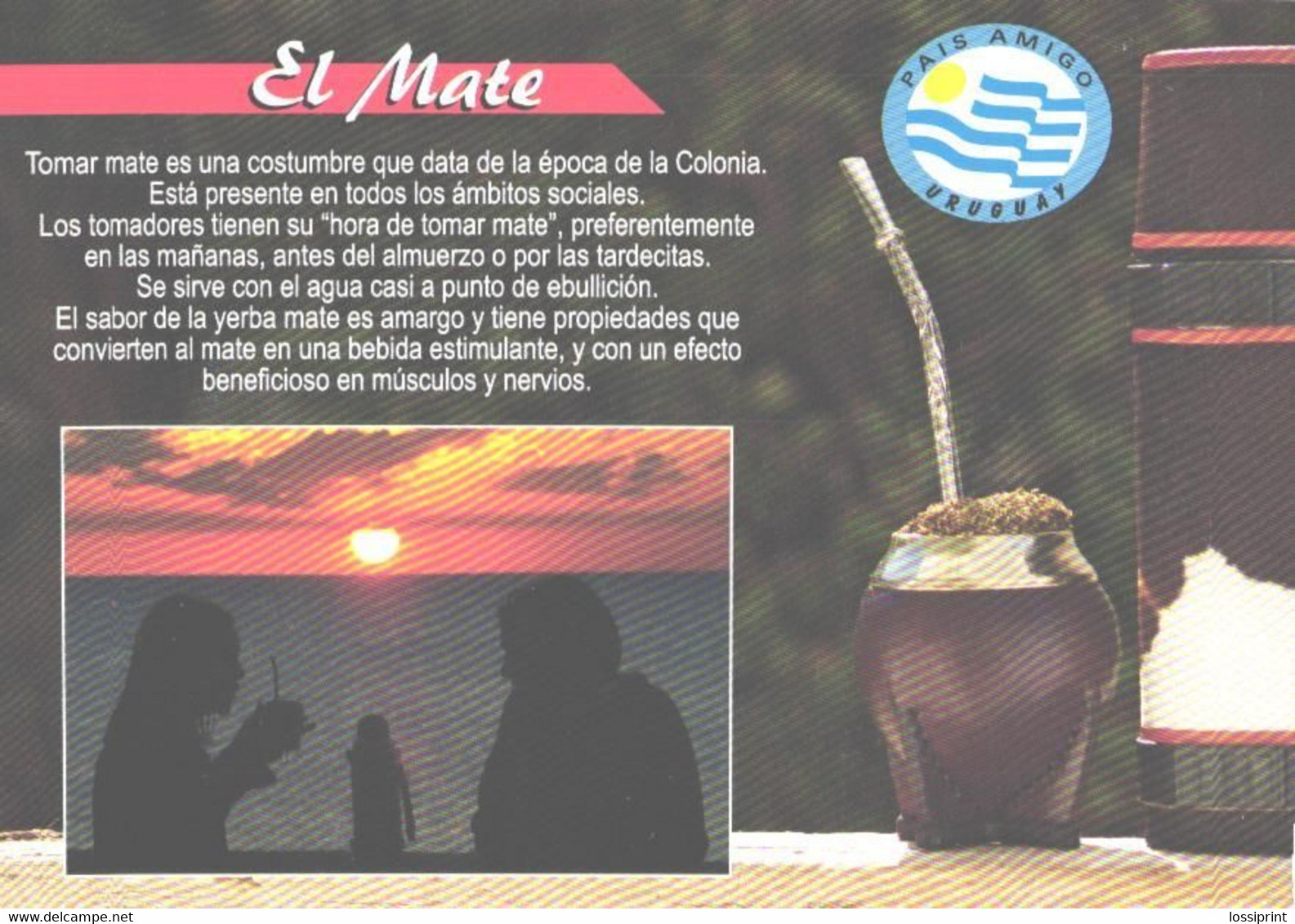 Uruguai:El Mate, Drink - Recettes (cuisine)