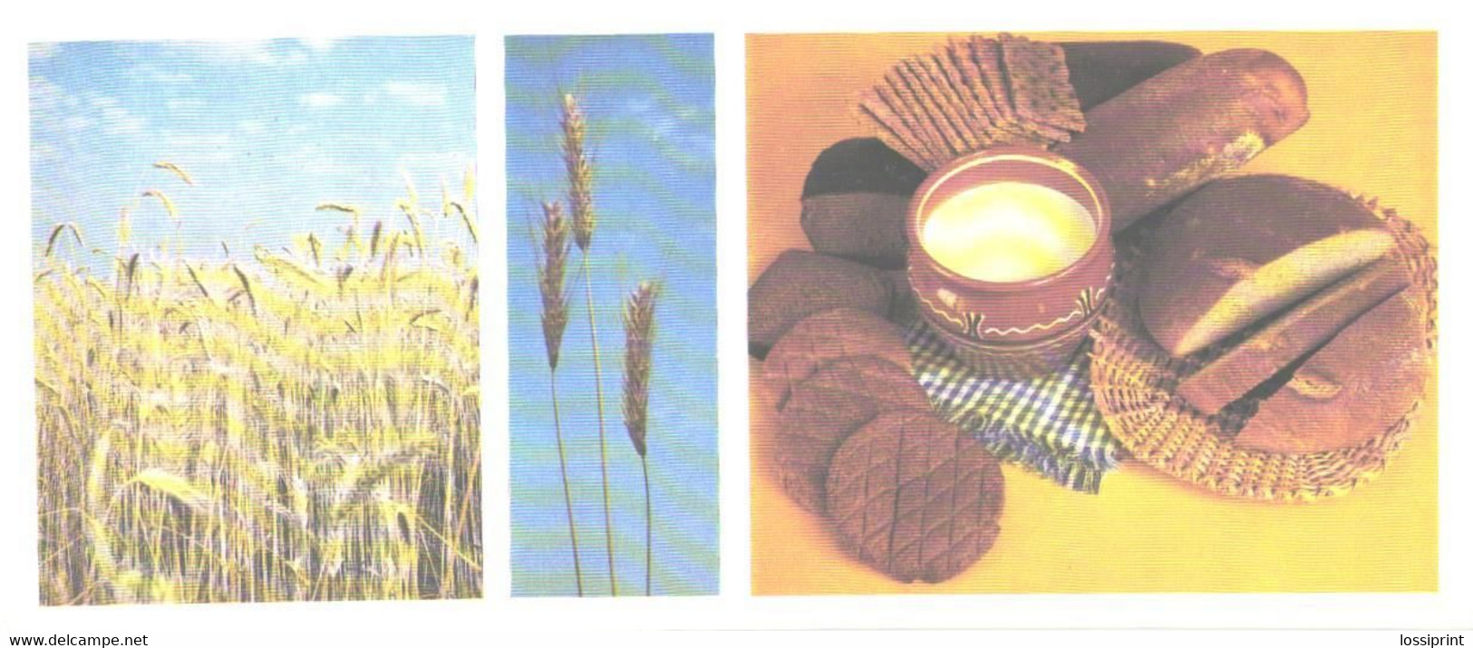 Foods:Rye, 1985 - Recettes (cuisine)