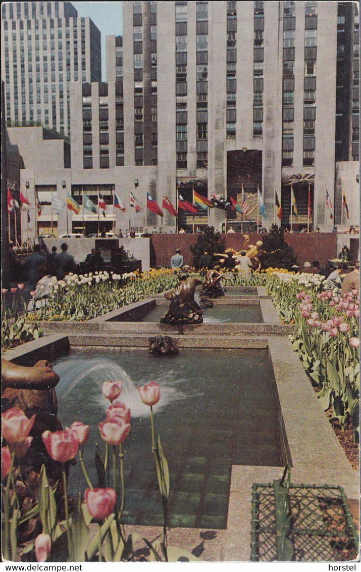 USA - New York - The Channel Gardens - Rockefeller Center - Long Island