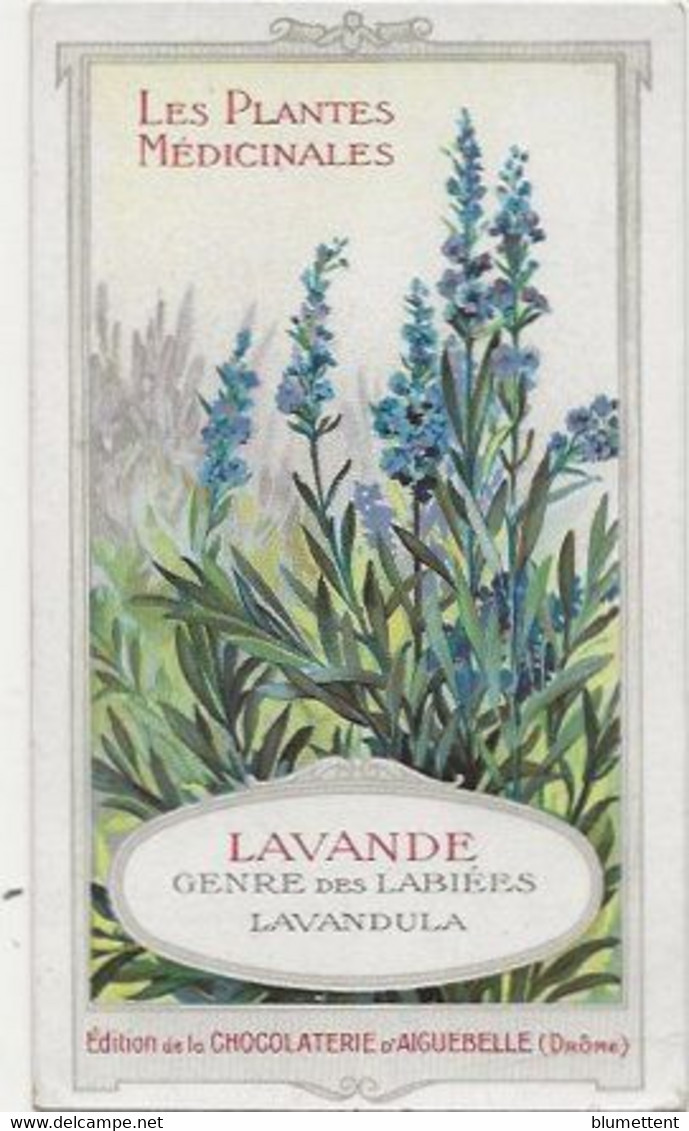 Chromo Aiguebelle 6.5 X 11 Les Plantes Médicinales - Lavande - Aiguebelle