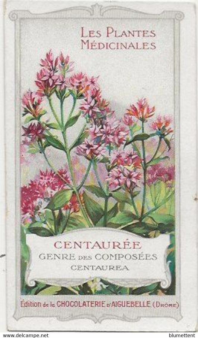 Chromo Aiguebelle 6.5 X 11 Les Plantes Médicinales - Centaurée - Aiguebelle